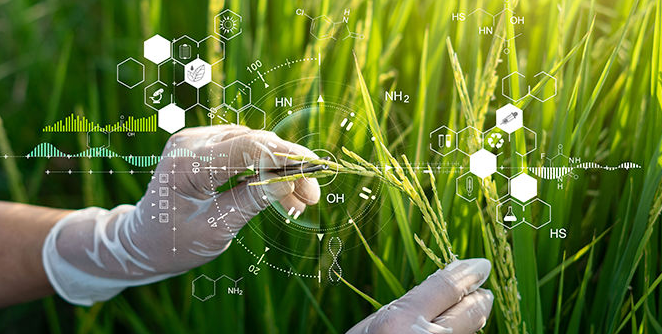 Blog notícia: biotec das plastas